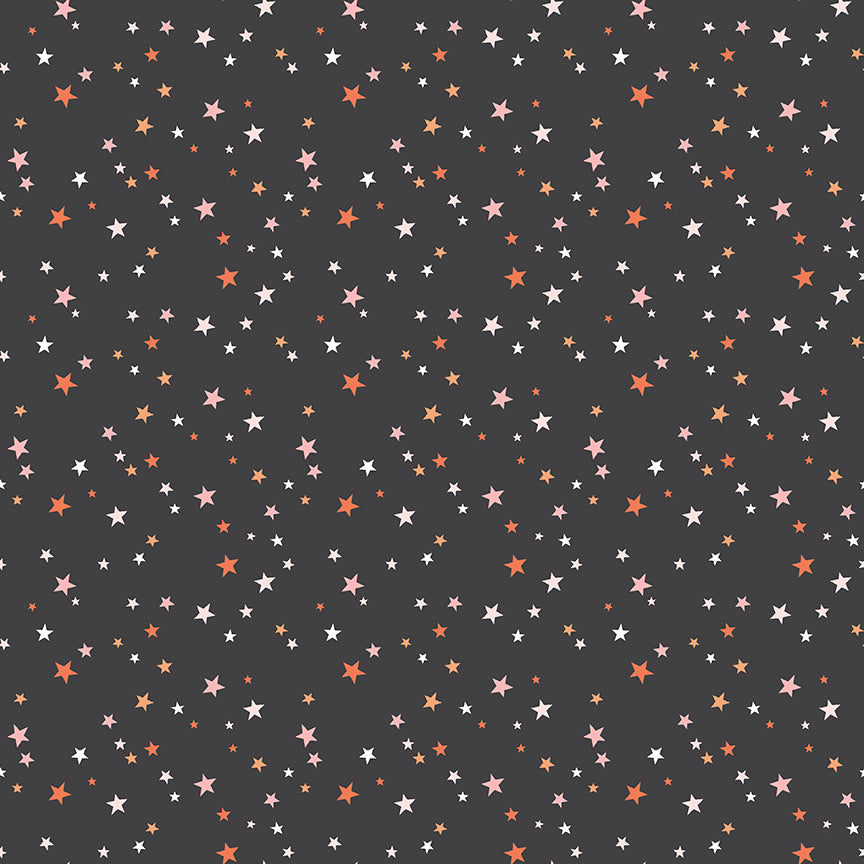 Fabric Halloween BUNDLES: Collection Hey Pumpkin from Riley Blake