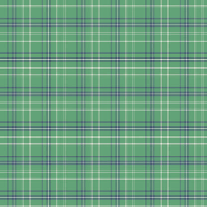 Pattern Plaid green from  The Happy Haven fabric collection, designed by Shawn Wallace for Riley Blake Designs, captures the warmth, wonder, and nostalgia of carefree childhood days spent in nature. Inspired by campfires, lake days, and starry skies, it features a cozy, earthy, and classic color palette of warm greens, reds, aquas, browns, and whites.