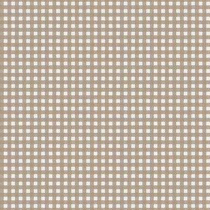 Pattern from the Pumpkin Grove fabric Collection Classic Gingham: A timeless rustic plaid coordinate. Backgrounds: Available in Black, Orange, and Cream.  The Collection by Maywood Studio is a rustic, farmhouse-inspired Halloween line featuring sophisticated seasonal palette and includes22 patterns characterized by textured backgrounds and classic spooky motifs