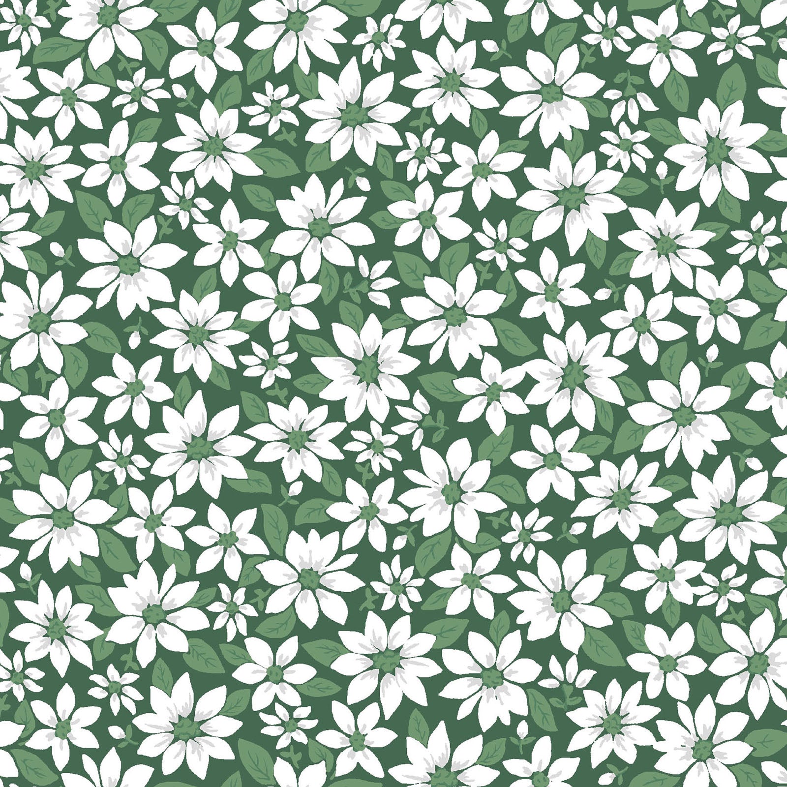 Pattern Poinsettia Florals: A beautiful, layered winter floral print featuring detailed poinsettia blooms and muted green leaves (Background Colors: Available in crisp Snow White and deep Green) from The Merry Mix collection by Maywood Studio featuring a classic Christmas color palette of snow white, berry red, and holly green. It is characterized by nostalgic holiday motifs, prancing reindeer, and florals, all elevated with shimmering metallic gold and silver accent