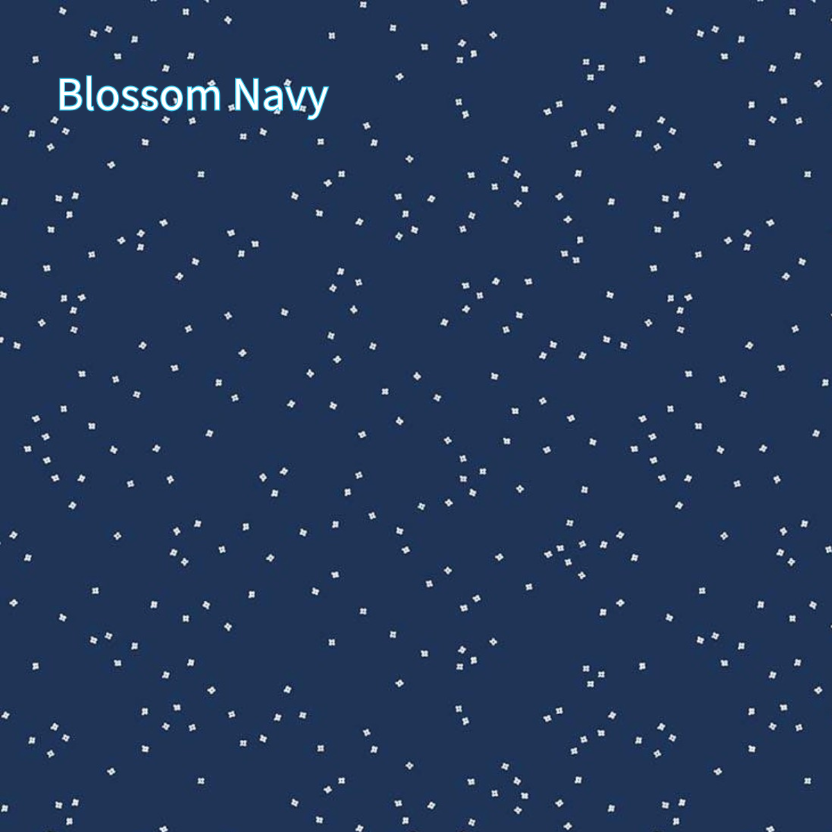 Navy blue background with white star pattern and 'Blossom Navy' text.
