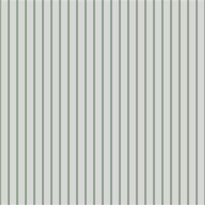 Fabric Stripes & Plaids